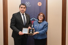 Speaker of Azerbaijani parliament meets with Georgian counterpart