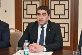 Speaker of Azerbaijani parliament meets with Georgian counterpart