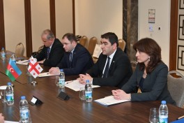 Speaker of Azerbaijani parliament meets with Georgian counterpart