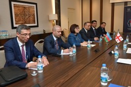 Speaker of Azerbaijani parliament meets with Georgian counterpart