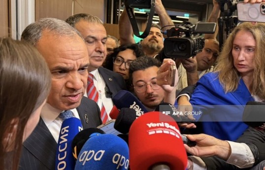 Egyptian Foreign Minister Badr Abdelatty