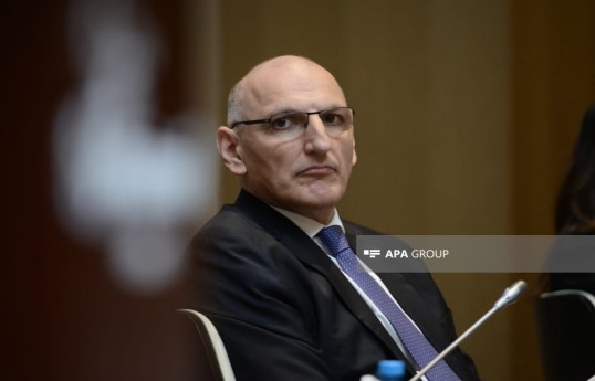 Elchin Amirbayov, Special Representative of the President of Azerbaijan for Special Assignments