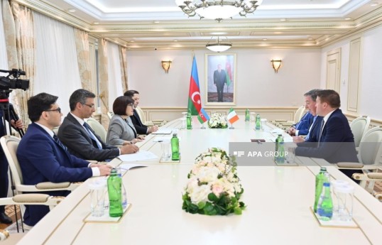 Meeting held with members of Ireland–Azerbaijan interparliamentary friendship group
