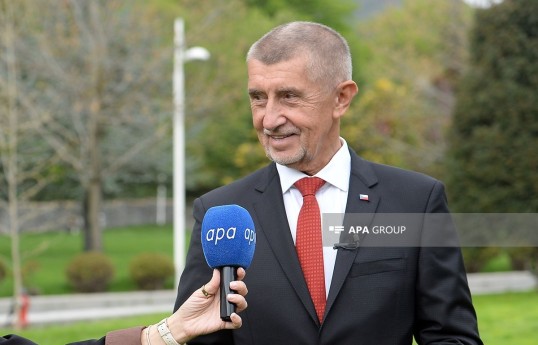 Czech Prime Minister Andrej Babiš