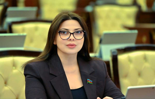 MP: Azerbaijani-Czech relations are developing on mutual trust