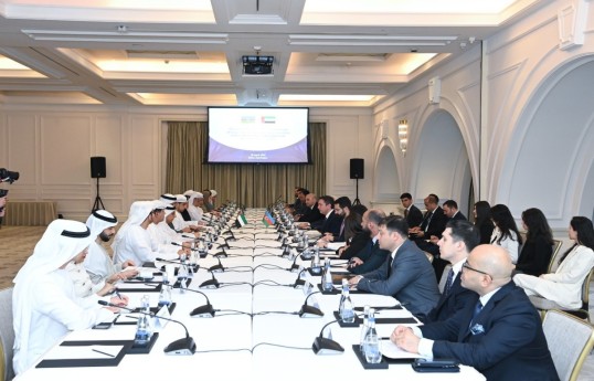Azerbaijan, UAE discuss development of cooperation across various sectors