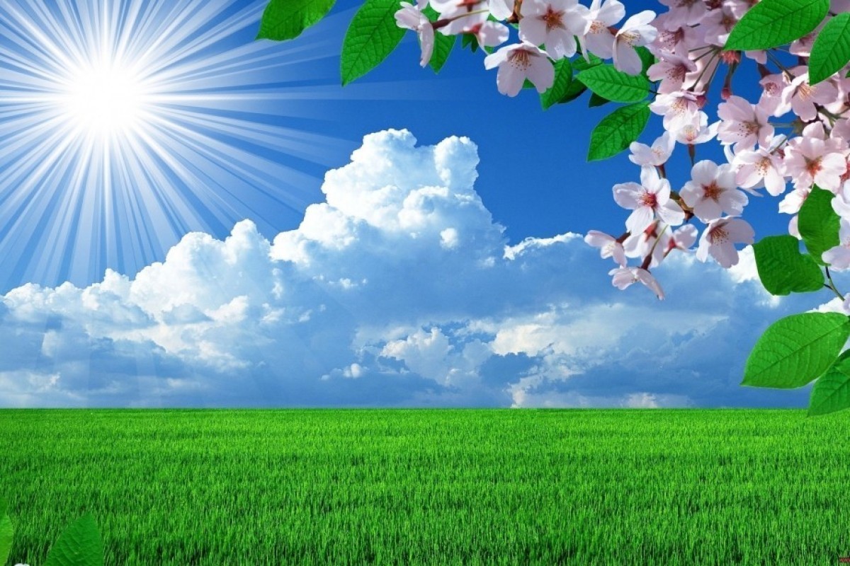 Draft law “On Climate” prepared and presented in Azerbaijan
