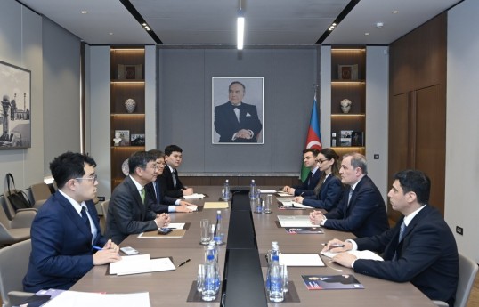 Azerbaijan carefully reviews professional qualities of ICJ judge candidates, minister says