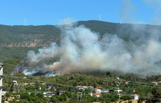 Latest situation regarding wildfires in Türkiye announced