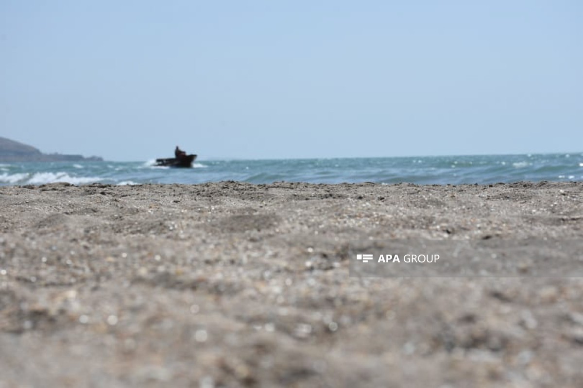 EMERCOM: Bodies of 40 people recovered from non-designated swimming areas this year, 55 rescued