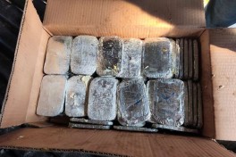 Azerbaijani customs officers seize more than 112 kg of heroin in truck carrying cargo from Iran to Germany