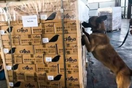 Azerbaijani customs officers seize more than 112 kg of heroin in truck carrying cargo from Iran to Germany