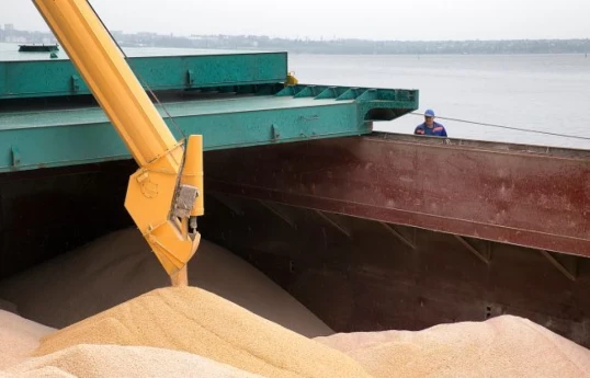 Two grain terminals at Russia's Novorossiysk halt work after Ukrainian attack, sources say