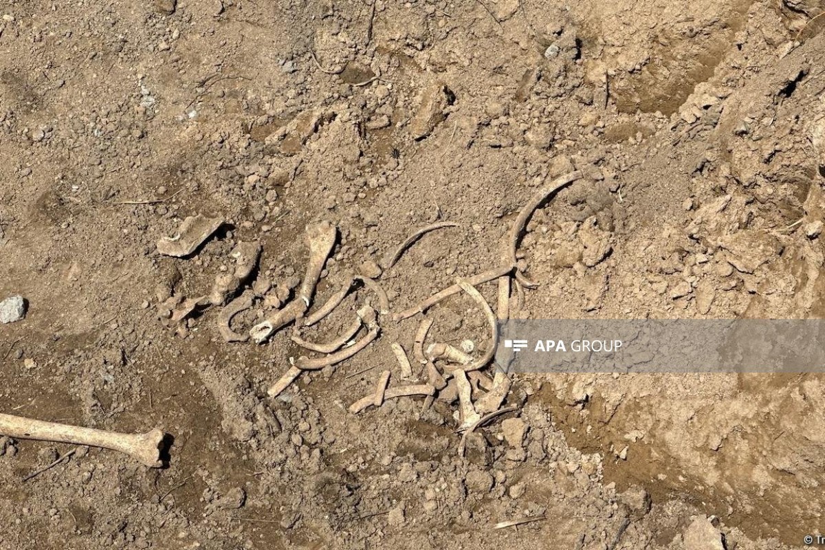 Remains resembling human bones discovered in Shushakend, investigation underway