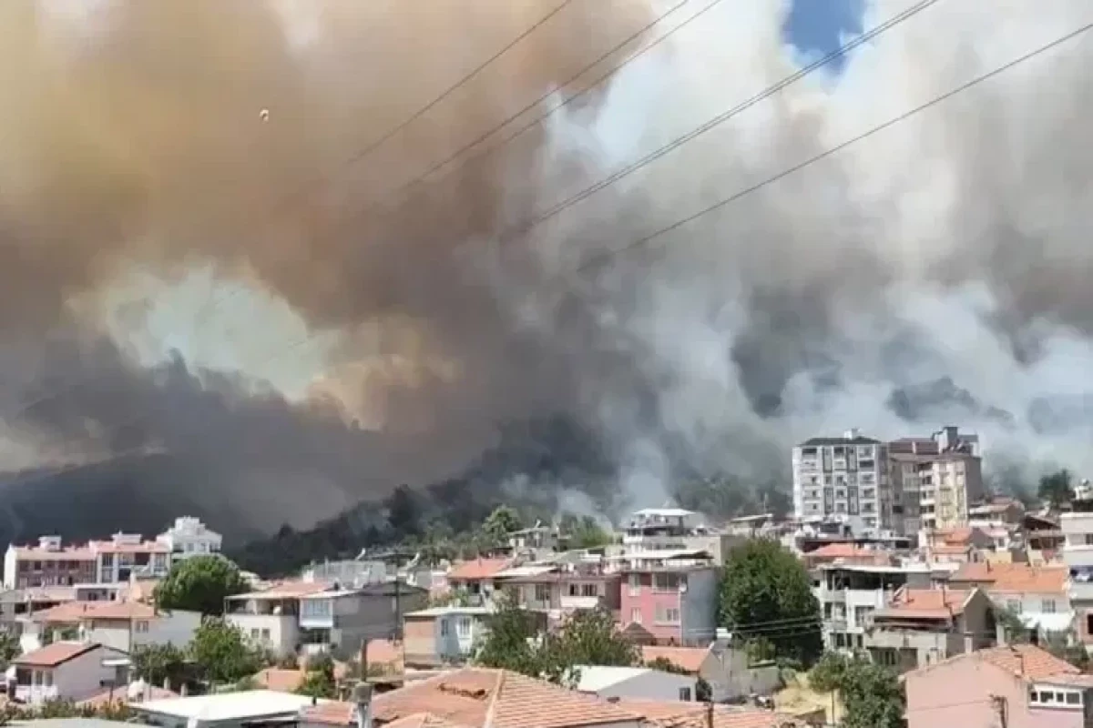 Forest fire in Türkiye approaches residential areas, residents evacuated