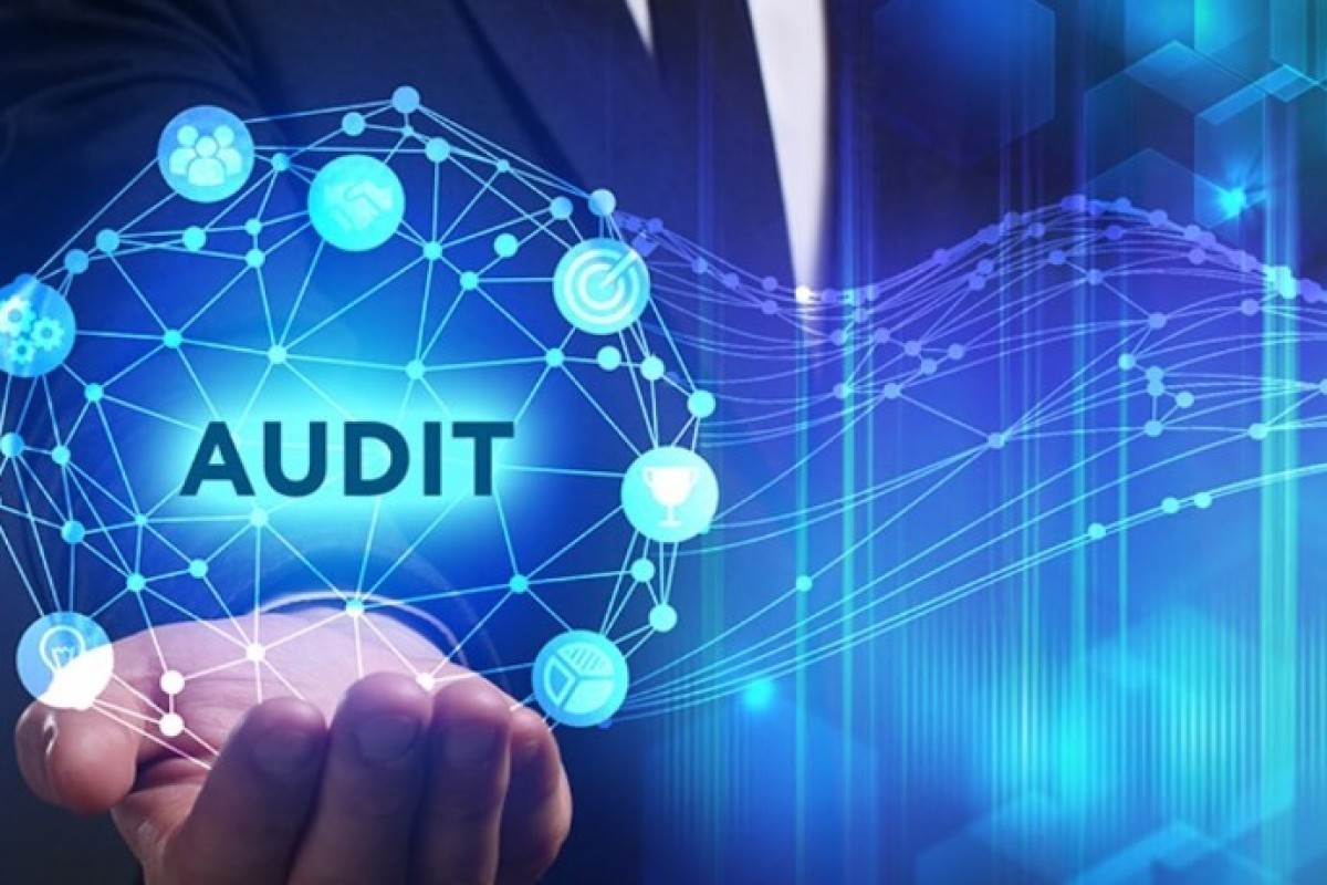 "State Audit" information system established