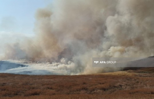 Fire breaks out in open area in Khojavand - PHOTO 