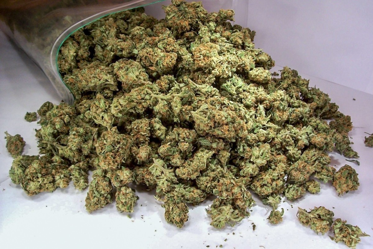 Drugs worth AZN 187.2 million seized from illegal circulation in Azerbaijan in seven months