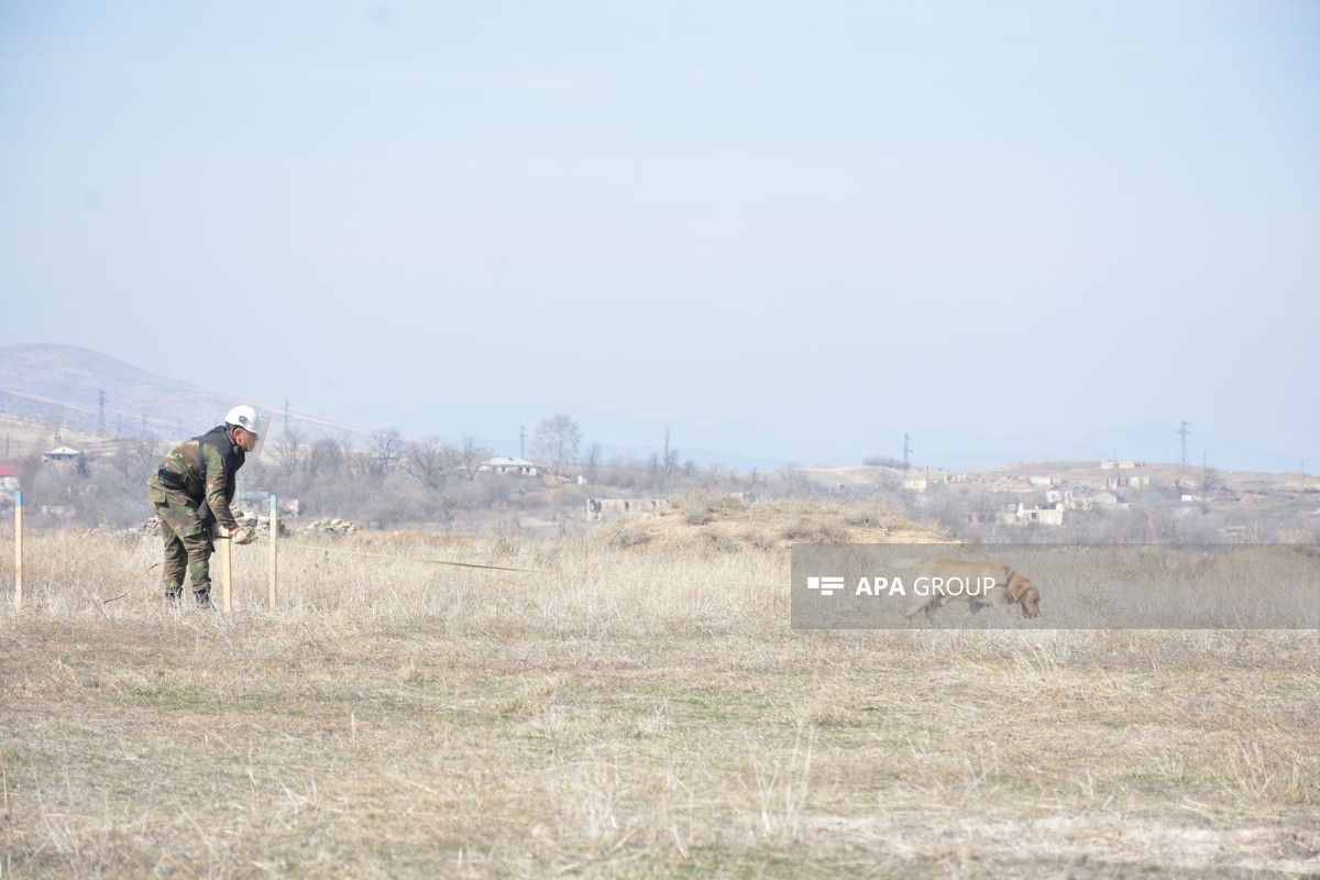Another 132 mines and 614 unexploded ordnance discovered in Azerbaijan