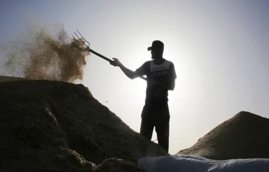 UN says only three percent of Gaza cropland accessible and undamaged