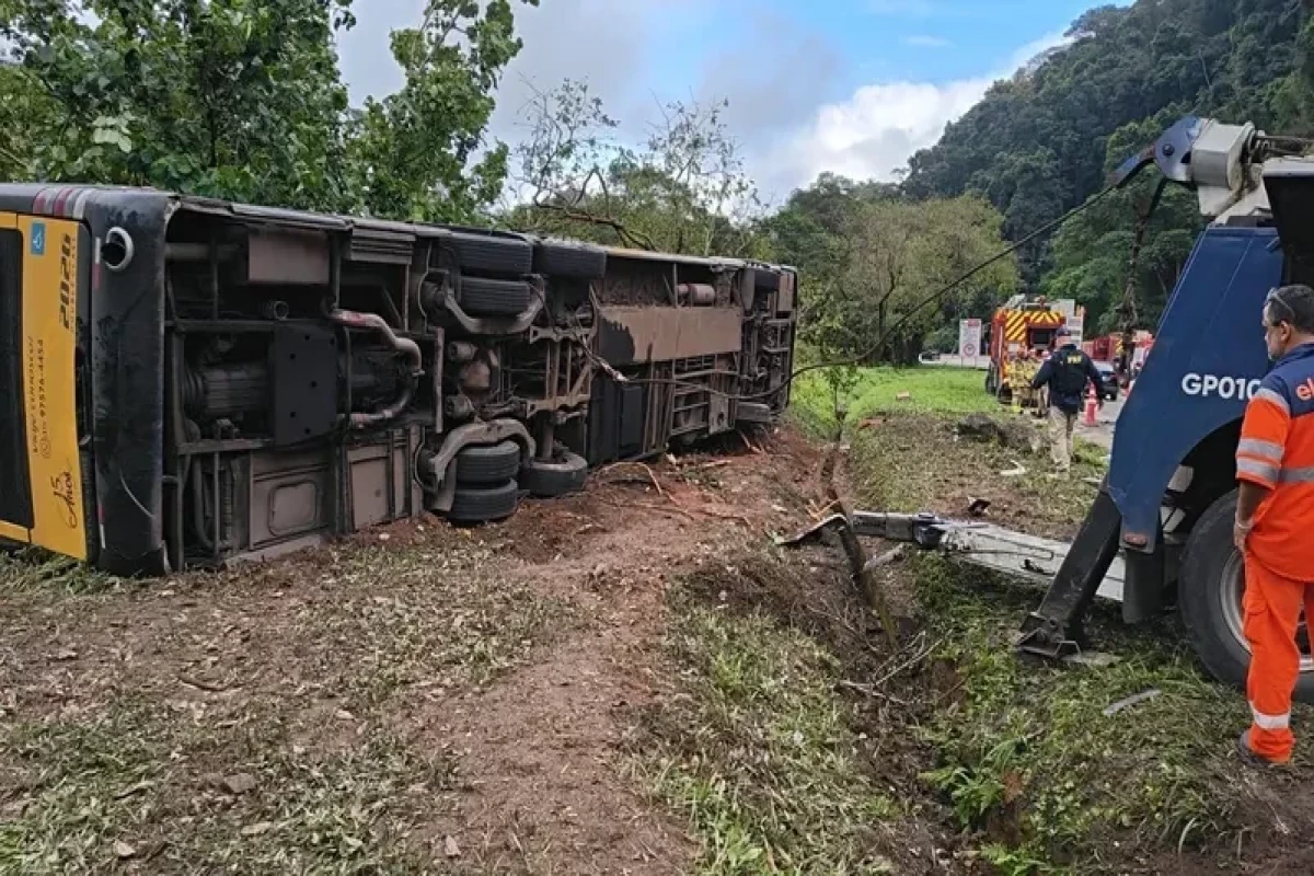At least 23 die as bus and truck collide in Brazil