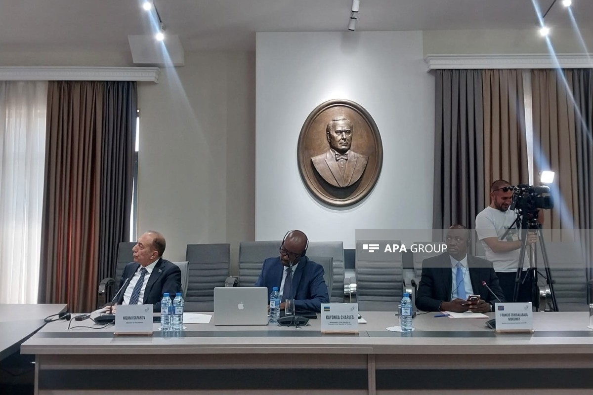 Congolese expert: Belgium’s colonial policy caused economic and social crisis in Congo
