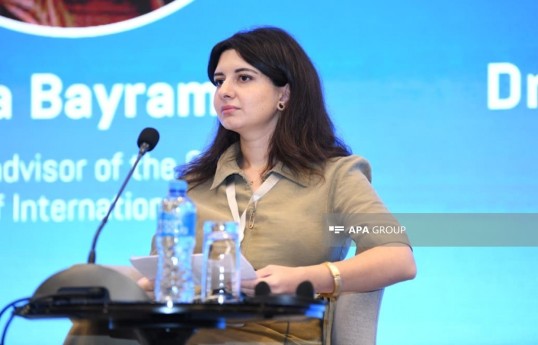 Roza Bayramli, chief adviser at the Center for Analysis of International Relations and Multiculturalism and an expert on the Central Asian region, transport and logistics issues, and cooperation within the Organization of Turkic States