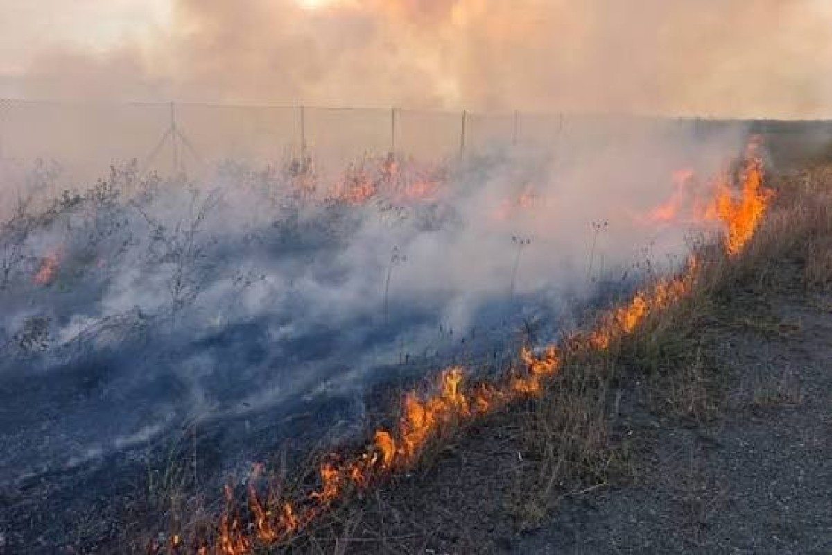 Fire breaks out in open area in Aghdam