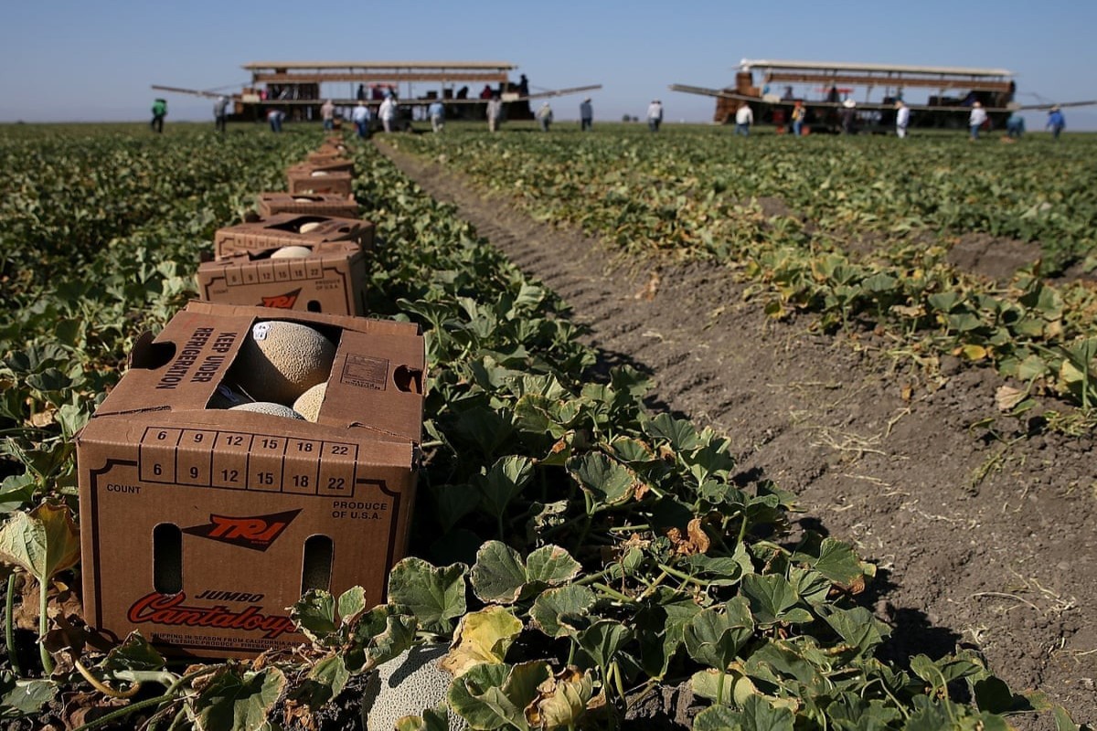 WSJ: US faces food crisis due to fertilizer shortages