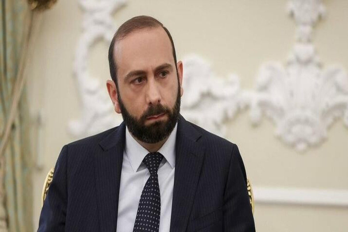 Armenian Foreign Minister: Information on product supplies from Armenia to Azerbaijan will be announced soon