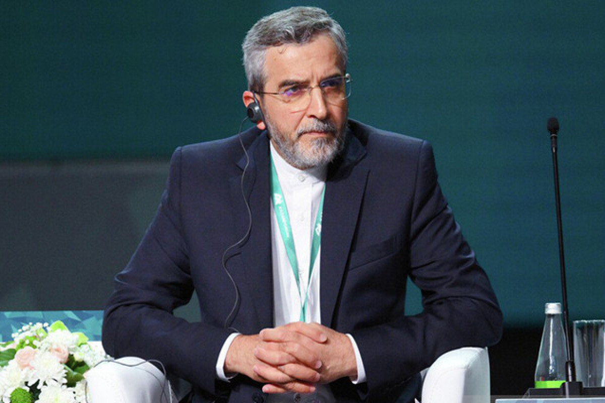 Deputy Secretary of the Supreme National Security Council of Iran, Ali Bagheri Kani
