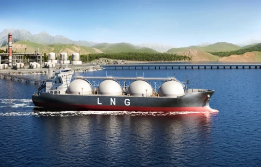 Europe imported record amounts of LNG in January