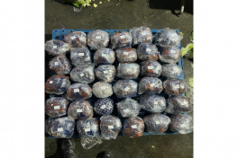 Azerbaijan border service seizes 6.57 mln manats in contraband in January