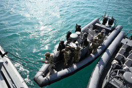 Presidents of Azerbaijan and UAE observed joint operational-tactical exercise Peace Shield – 2026 in Abu Dhabi -PHOTO 