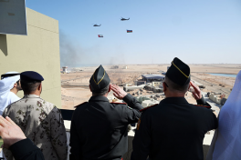 Azerbaijan, UAE explore military cooperation-VIDEO 