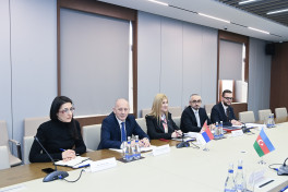 Azerbaijan, Serbia hold political consultations