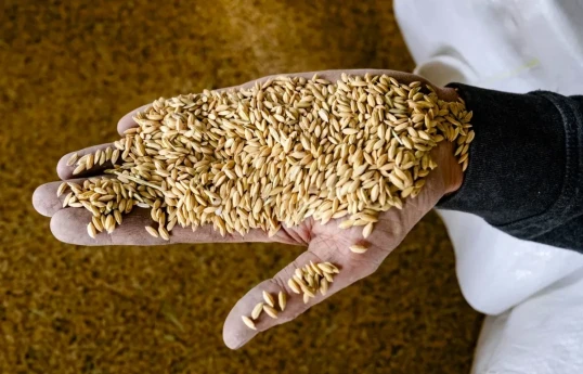 Grain prices revealed on world markets