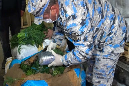Azerbaijan customs seize nearly 52 kg of marijuana in transit operation