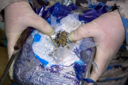 Azerbaijan customs seize nearly 52 kg of marijuana in transit operation