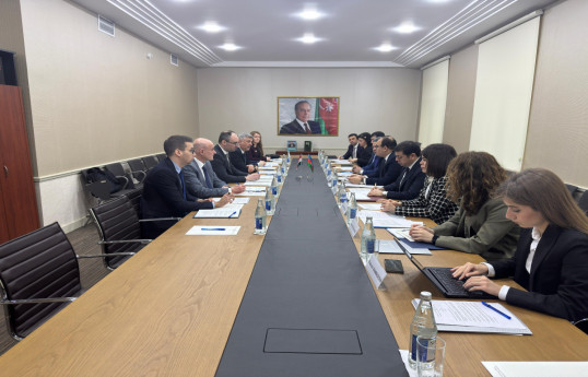 Azerbaijan, Hungary held consular consultations