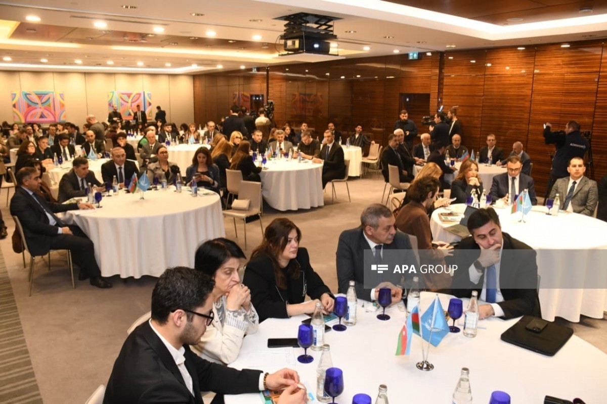 UN representative: Azerbaijan’s NGOs submitted proposals across 90 areas for WUF13
