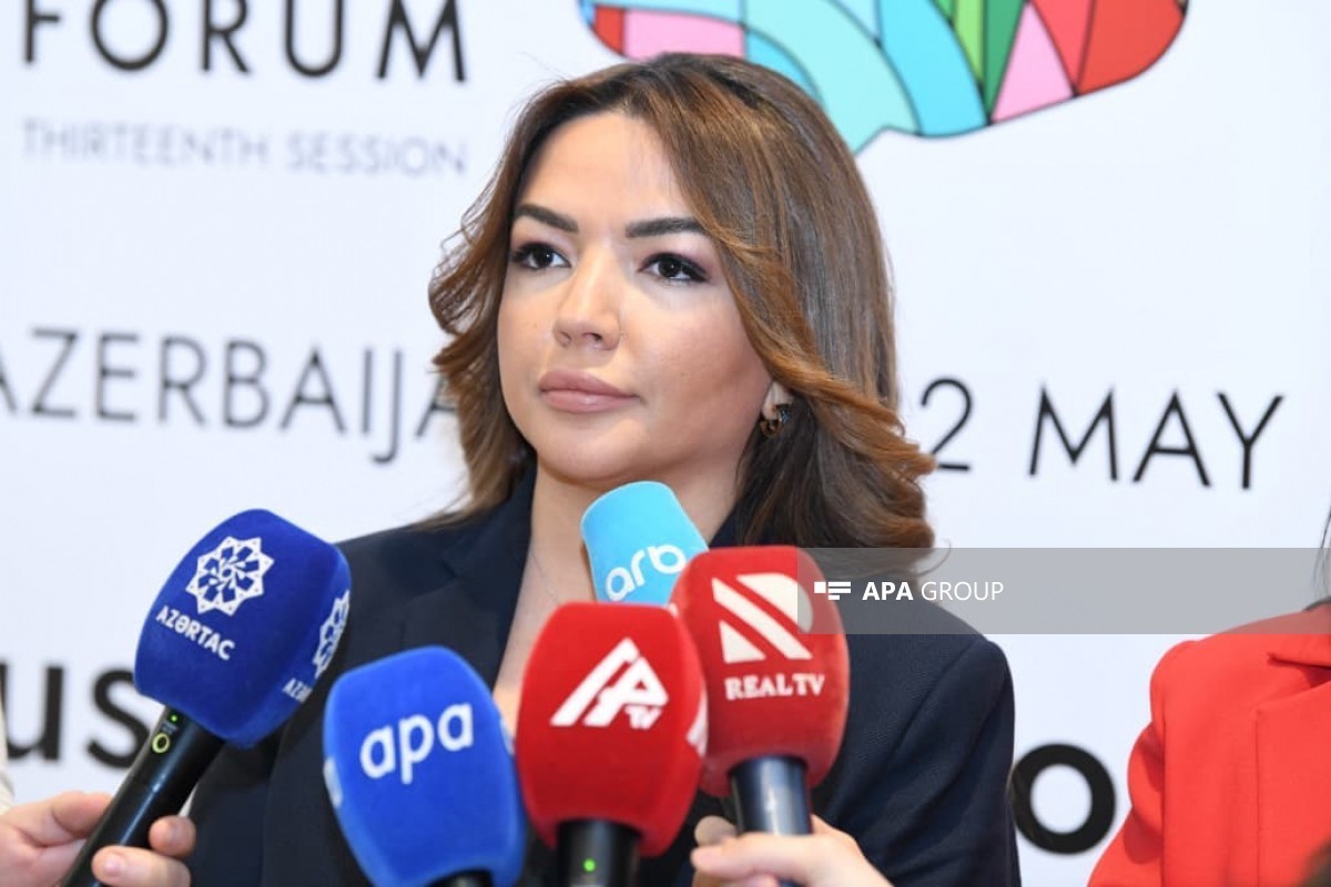Aygun Aliyeva, Executive Director of the Agency for State Support to NGOs