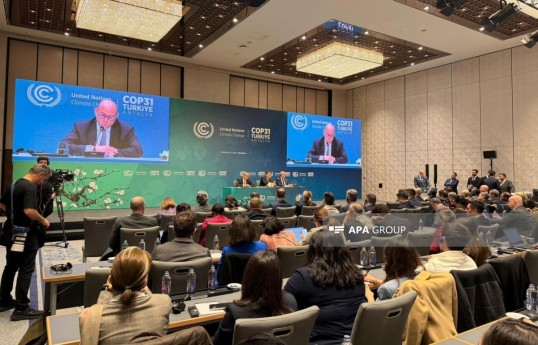 UNFCCC executive secretary thanks Azerbaijan for COP29 leadership