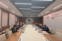 Azerbaijani, Georgian MFAs hold next round of political consultations