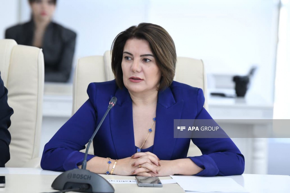  Vusala Mahirghizi, Director General of APA Media Group and Chair of the Language Commission of the Azerbaijan Press Council