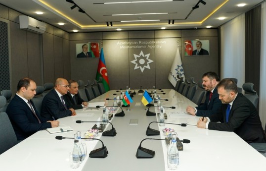 Azerbaijan and Ukraine discuss cooperation in combating mine threat