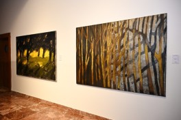 MAMA “Mother Nature” international art exhibition opens in Tirana -PHOTO 