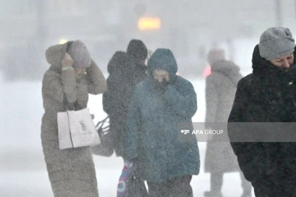 Snowstorm “Valli” paralyzes Moscow region, causes major traffic jams and flight disruptions