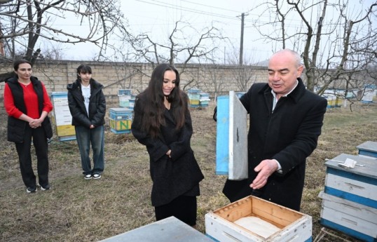 Leyla Aliyeva visits beekeeper’s family in Guba - PHOTO 