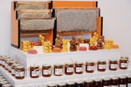 Leyla Aliyeva visits beekeeper’s family in Guba - PHOTO 